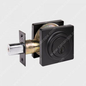 DBOLT2C19
